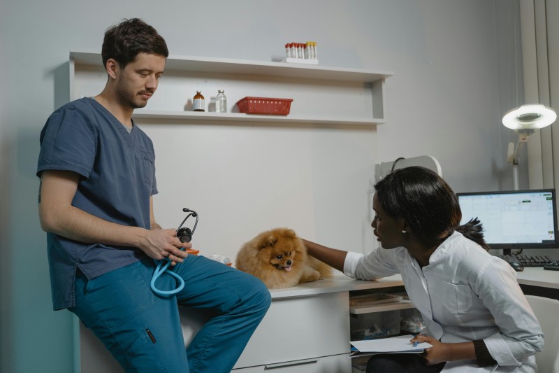 Actualidad veterinaria